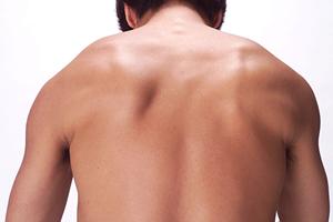 糖鎖が要のフコイダン製品販売業者の紹介